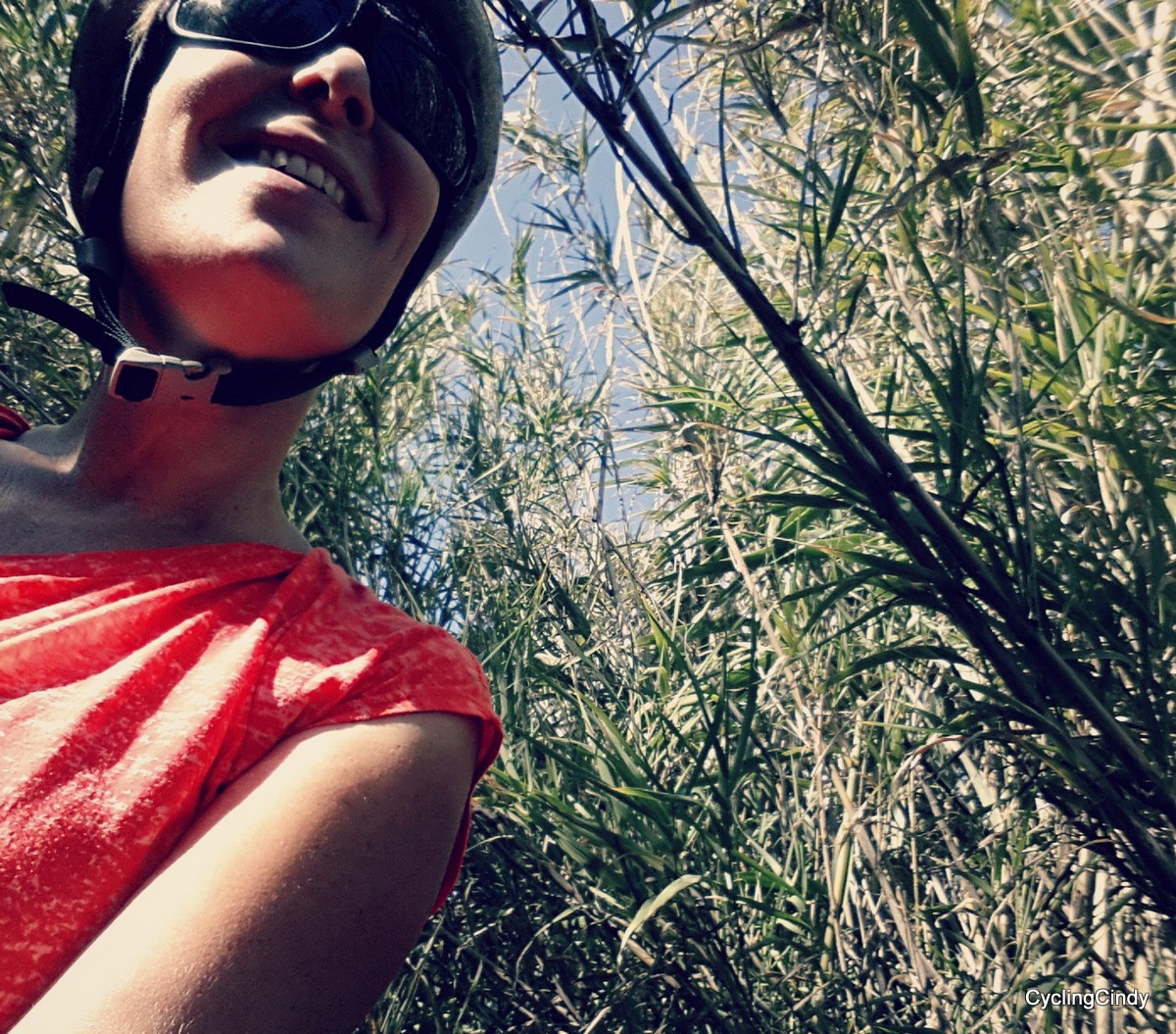 into the reeds-002