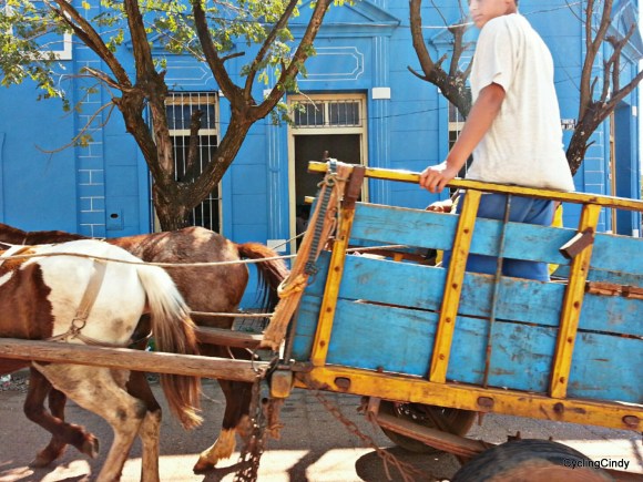 blue-bakery-and-horse-carriage