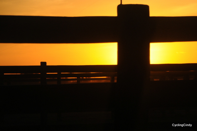 dsc_0828-2