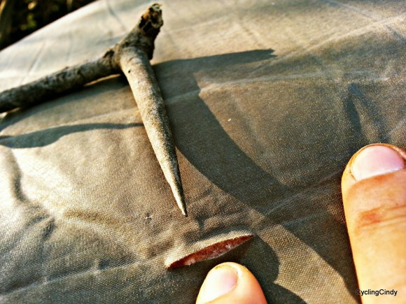 i-know-i-should-have-checked-the-ground-first