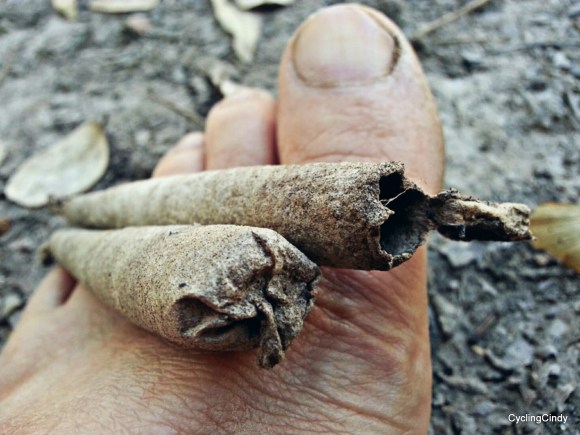 it-has-the-appearance-of-a-marihuana-filled-sigaret-but-its-something-else-1