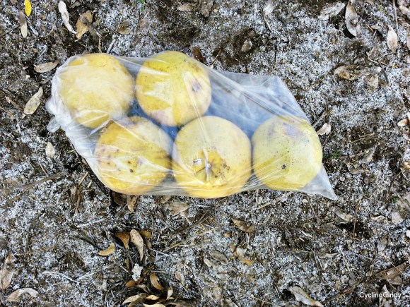 picsart_08-28-08-09-23