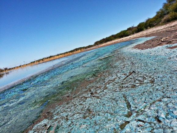 picsart_08-28-08-15-29