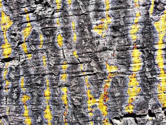 picsart_08-28-08-17-04