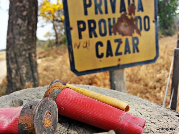 picsart_09-03-12-59-22