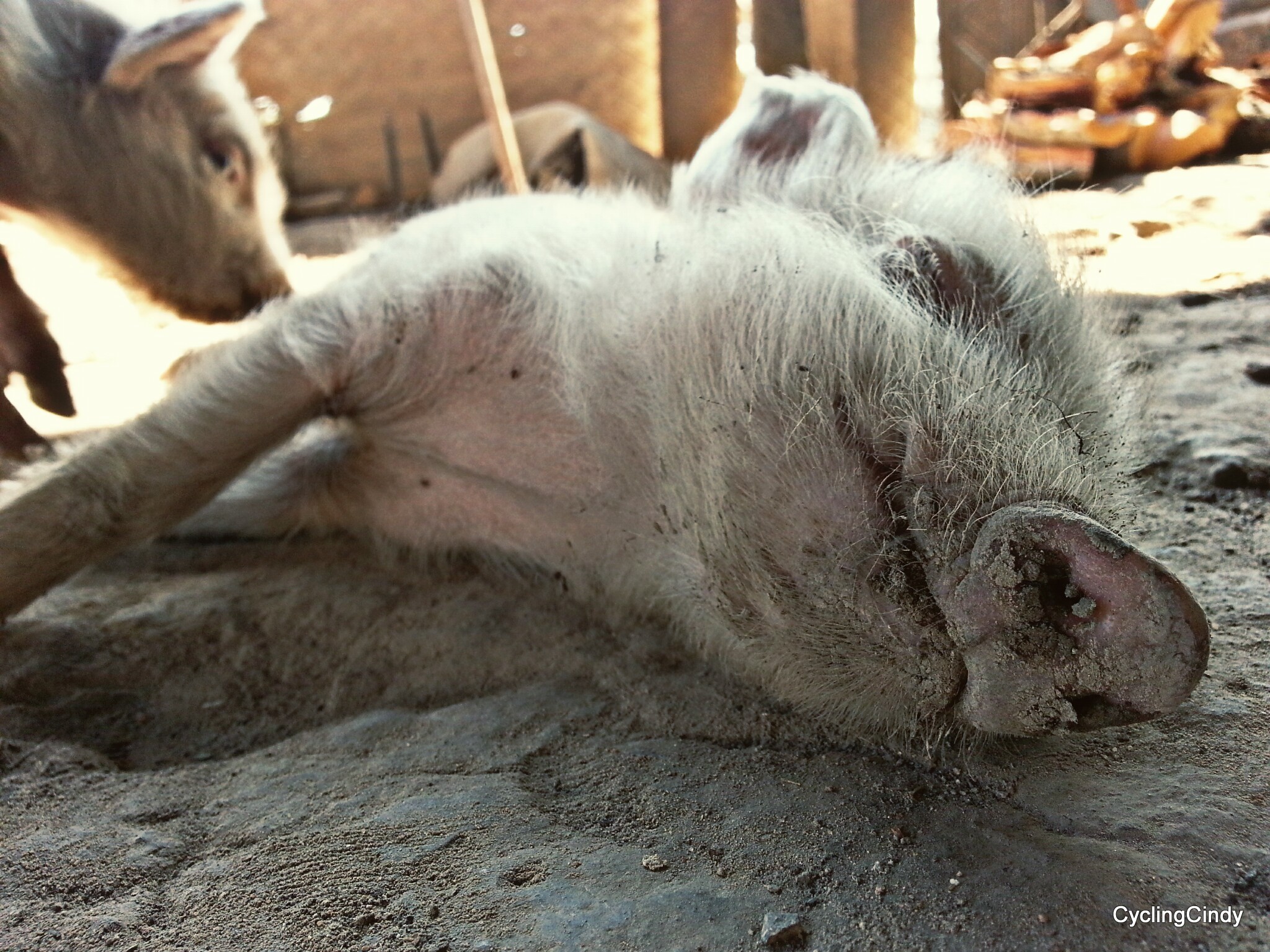 picsart_09-15-01-53-16