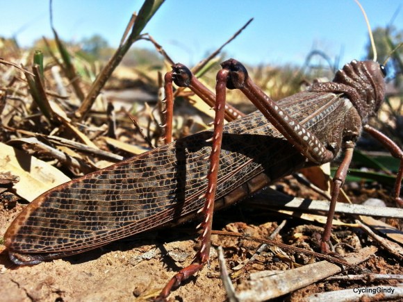 picsart_09-19-08-08-53