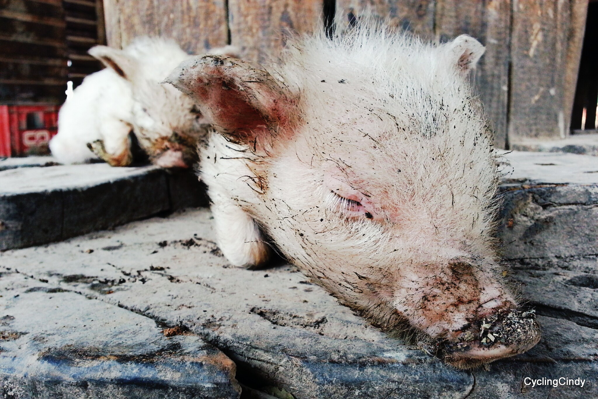 picsart_09-20-01-46-57