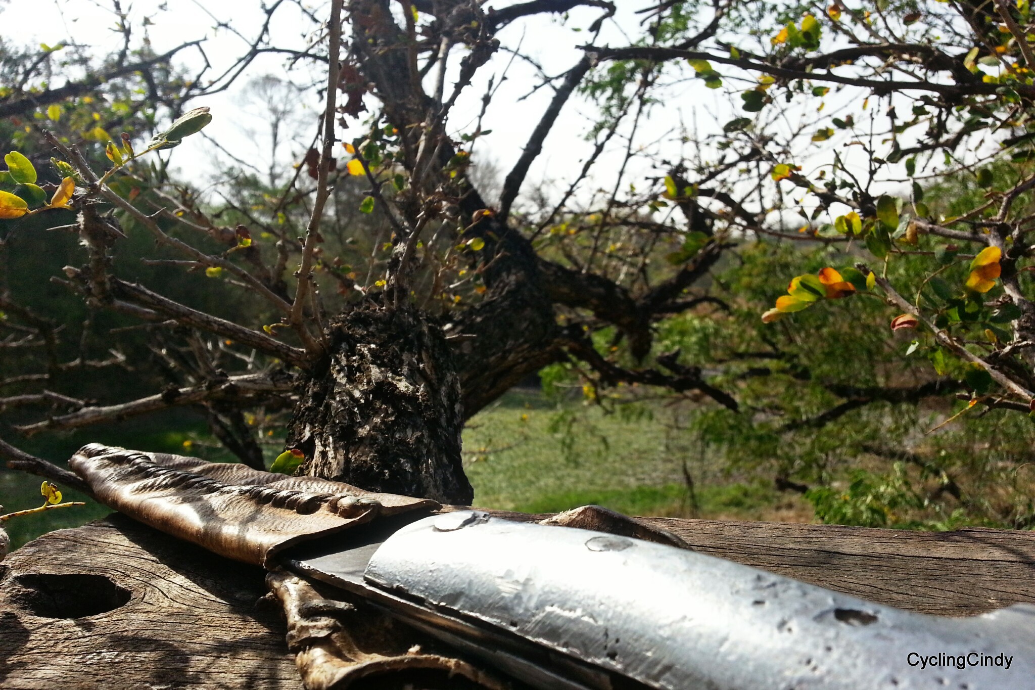 picsart_09-20-01-52-16