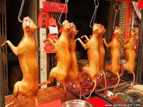 Not everything is yummy when you are living on the road, China