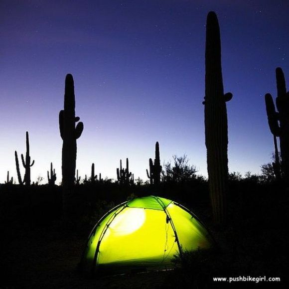 The most cozy time of the day, Arizona