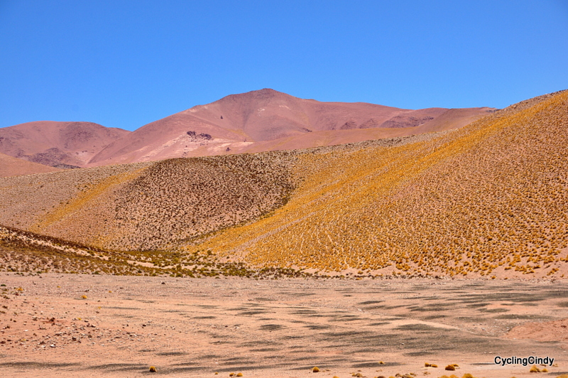 dsc_0619-2