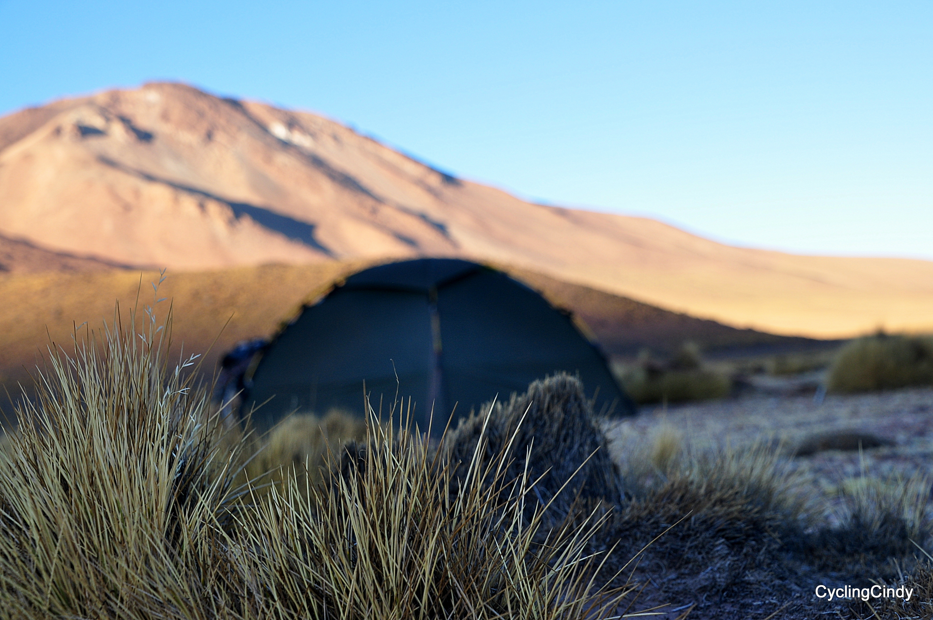 dsc_0681-2