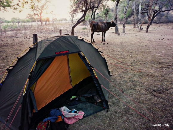 picsart_09-17-05-52-53