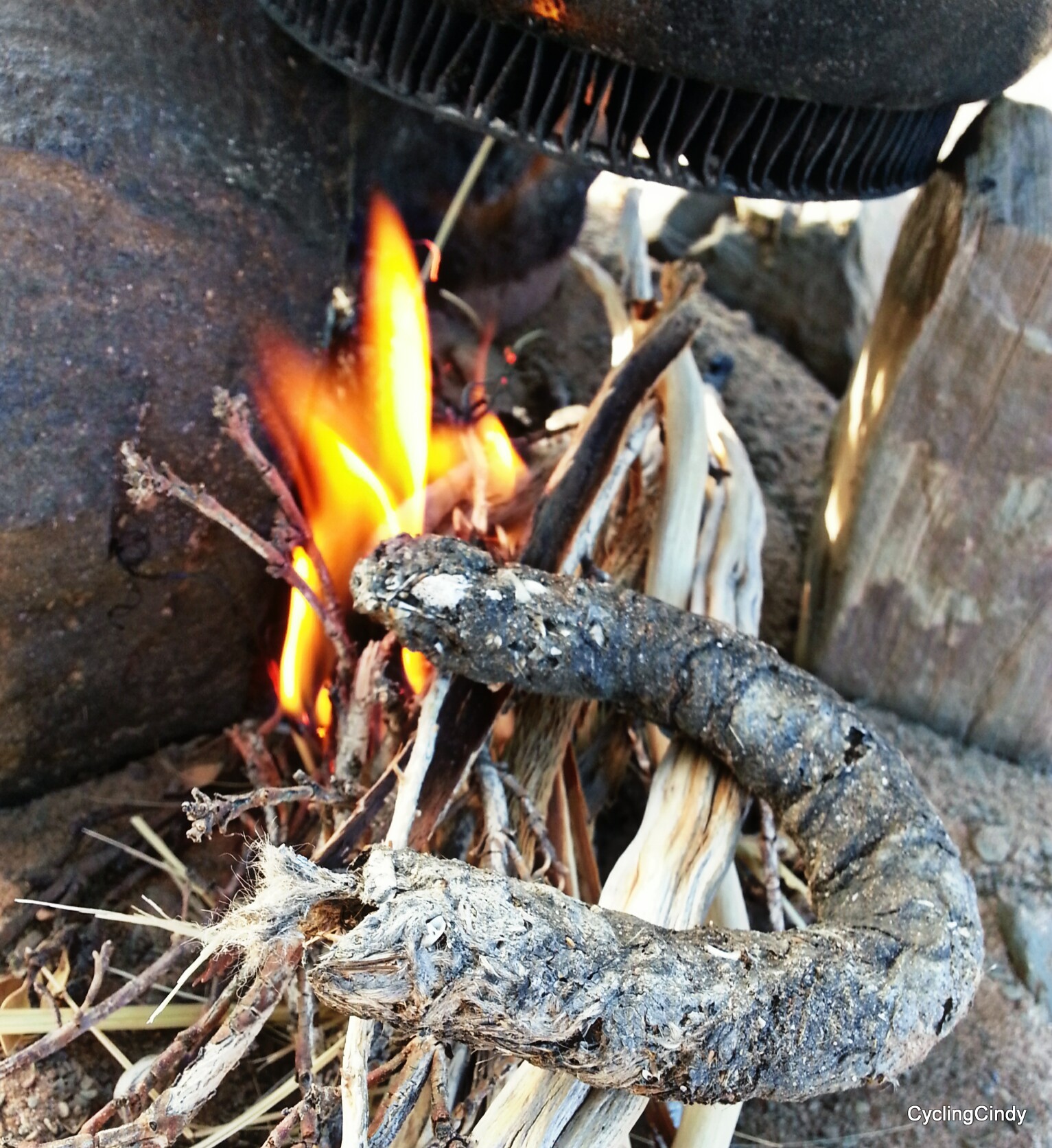 picsart_10-20-08-03-33