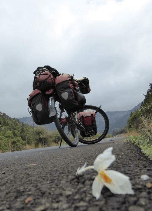 Going up, meeting the detail.