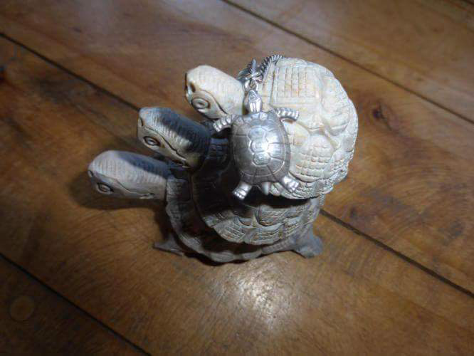 And sometimes my turtle meets other turtles on the way. These were in the room where I stayed.