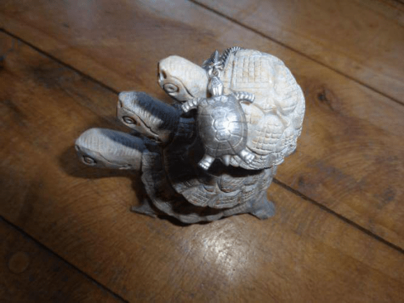 And sometimes my turtle meets other turtles on the way. These were in the room where I stayed.