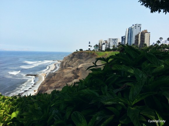 picsart_11-24-11-08-46