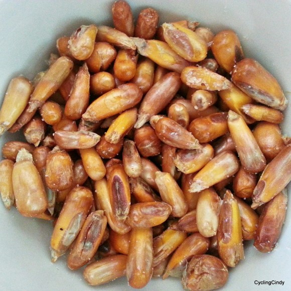 picsart_11-27-01-38-03