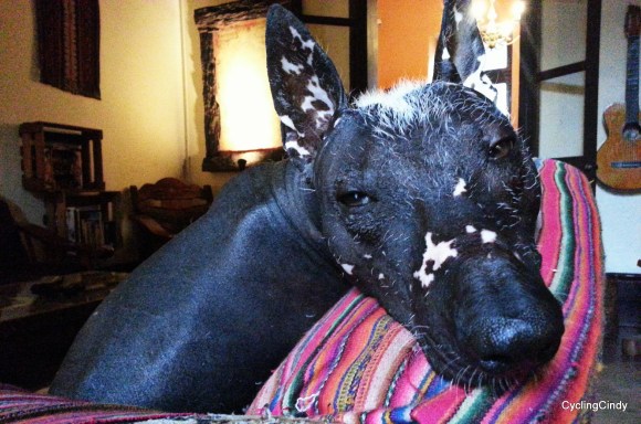 picsart_12-20-11-23-31