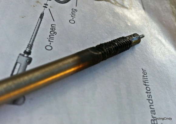 1-PicsArt_11-06-06.19.47