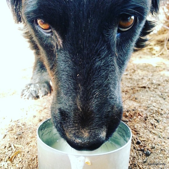 IMG_20170125_180631_206