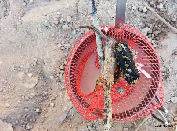 PicsArt_01-31-04.13.12