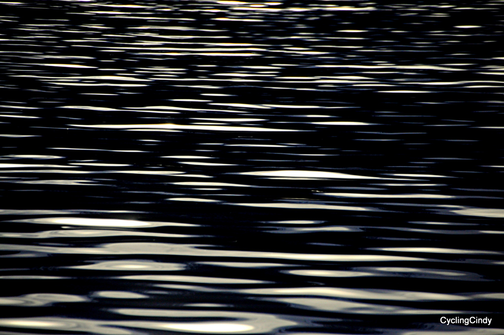 1-DSC_0506