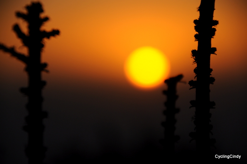 DSC_0002 (4)