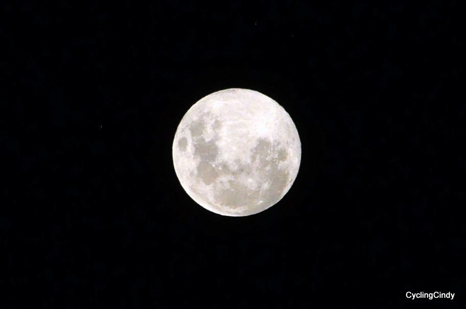 DSC_0361 (4)