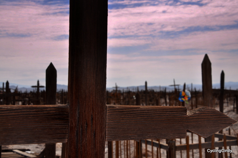 DSC_0490 (3)