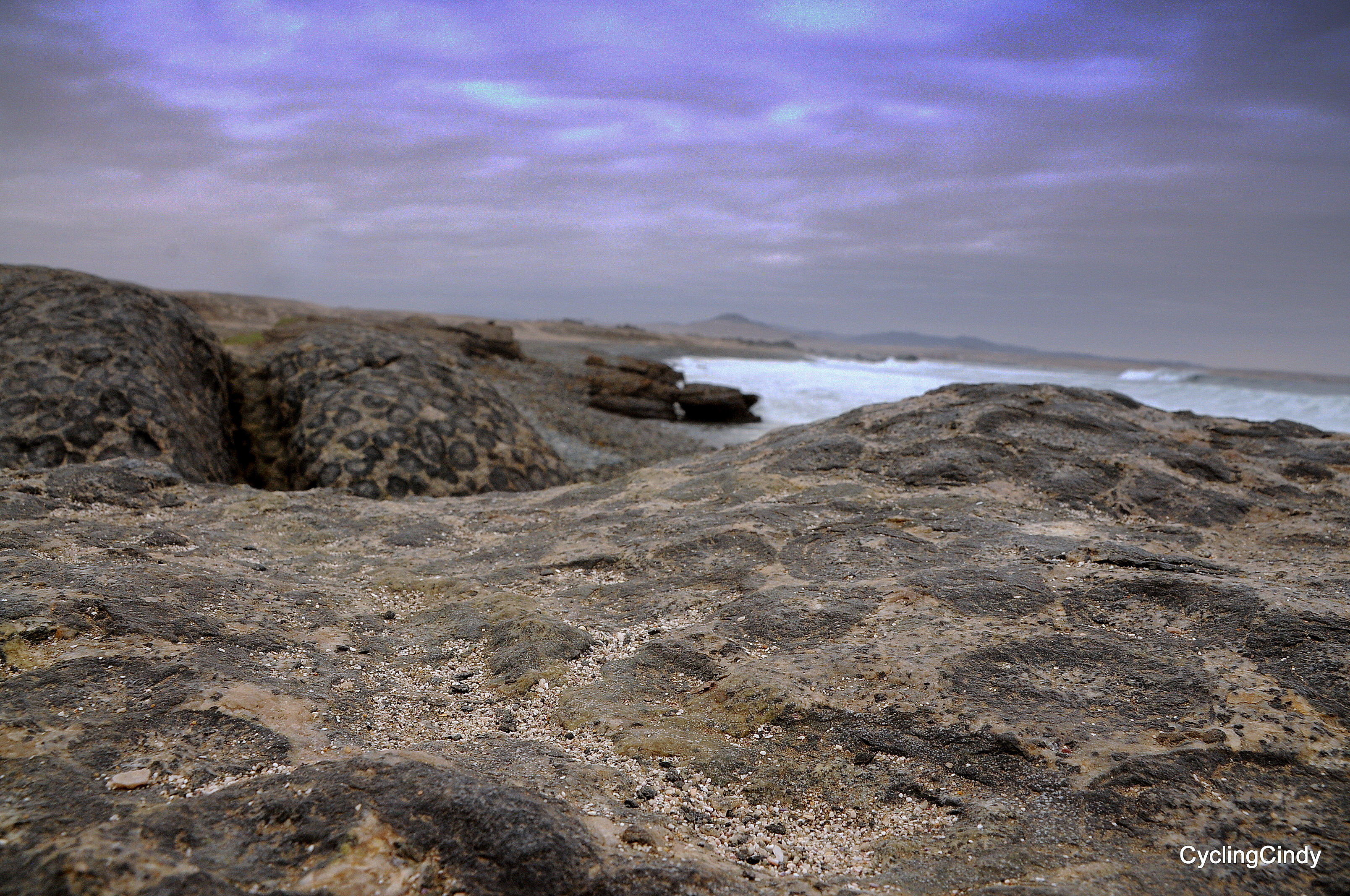 DSC_0526 (4)-001