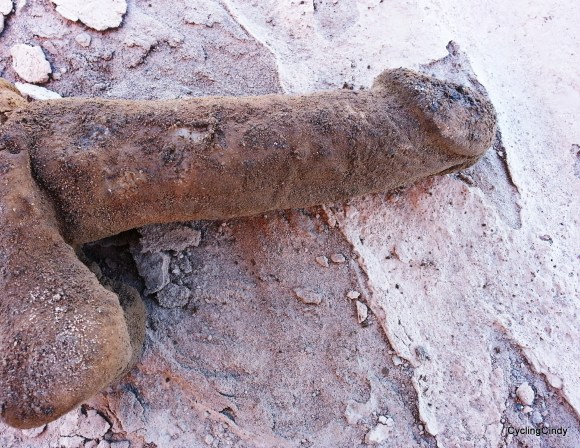 PicsArt_03-03-04.22.02