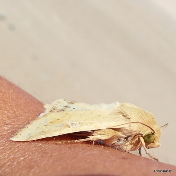 PicsArt_03-05-06.26.22