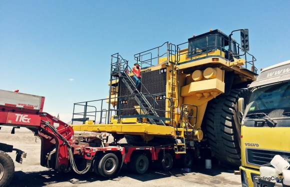 PicsArt_03-07-08.25.43