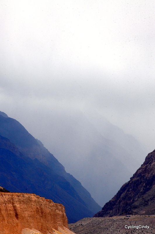 DSC_1020 (2)