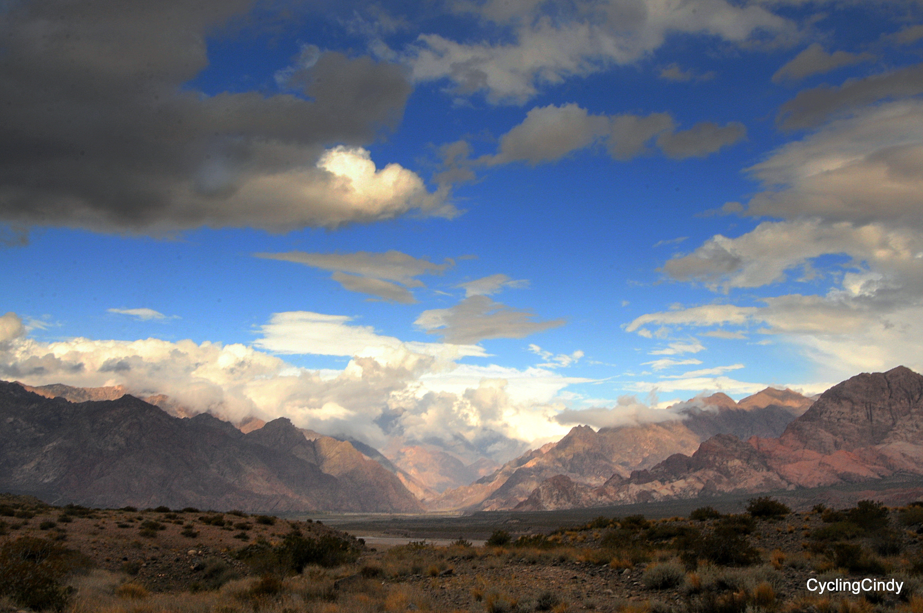 DSC_1046 (2)