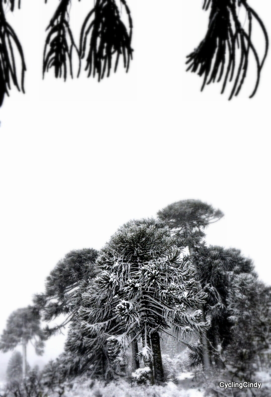 1-1-DSC_0565