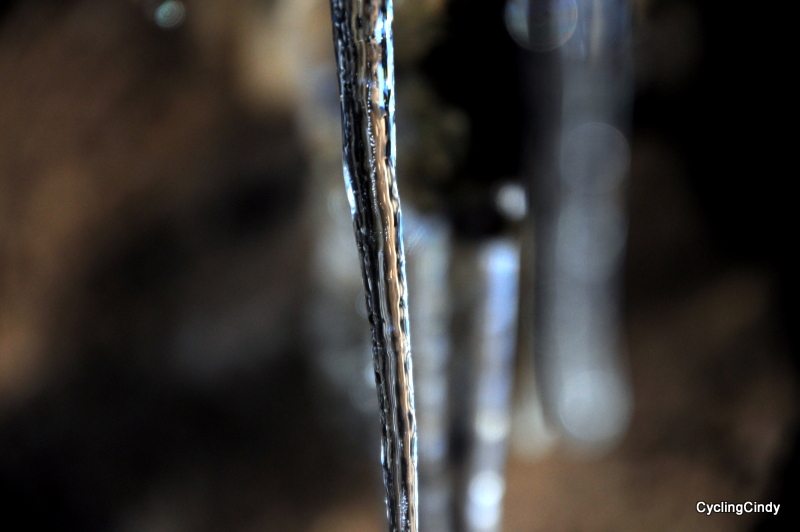 1-DSC_0065 (2)