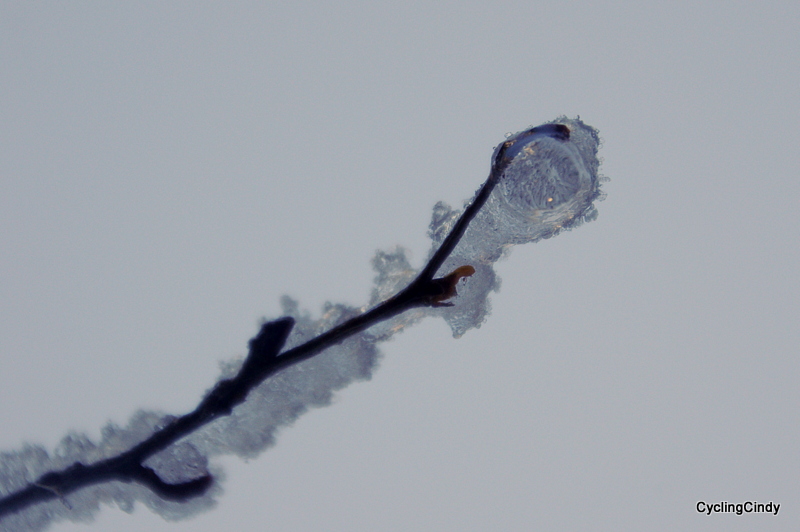 1-DSC_0110 (2)