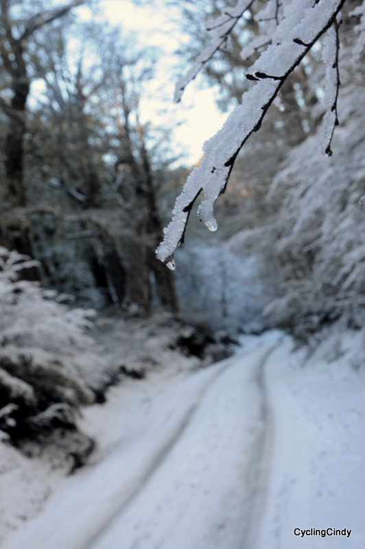1-DSC_0118 (2)
