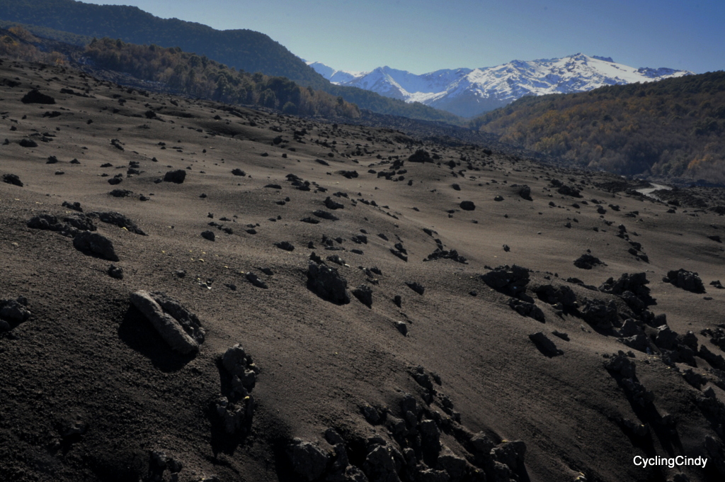1-DSC_0324 (2)