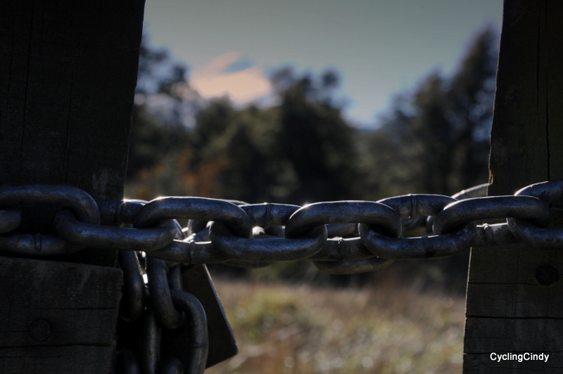 1-DSC_0409 (2)
