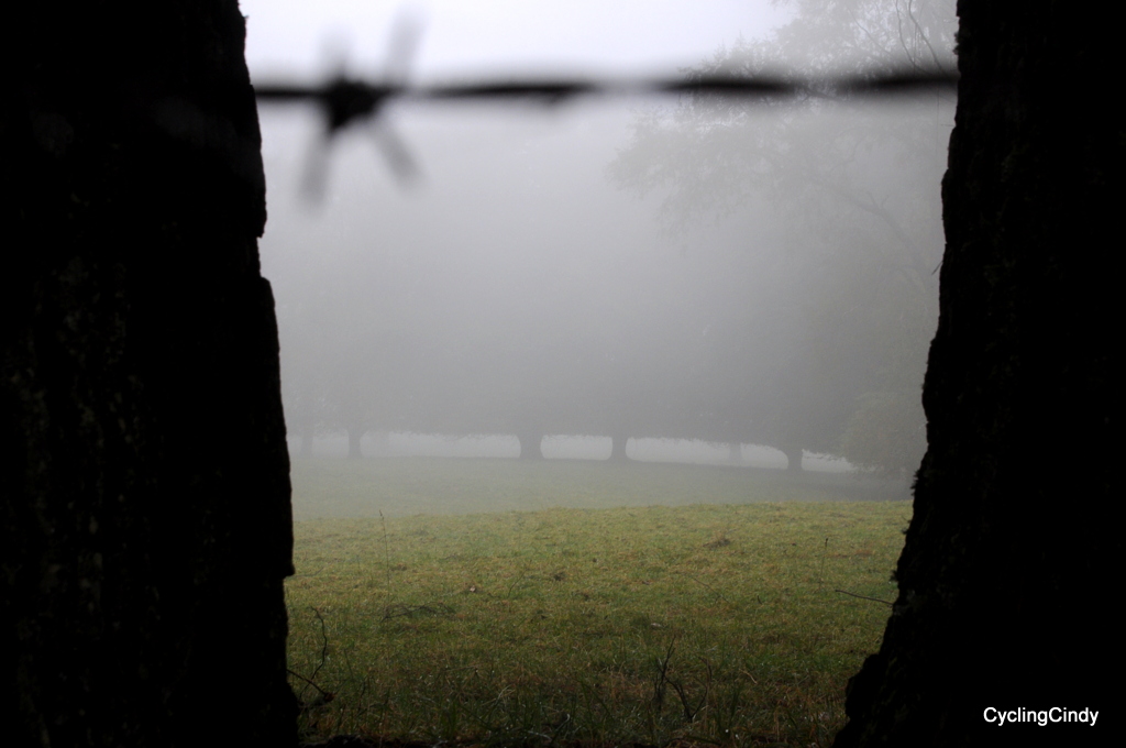 1-DSC_0464 (2)