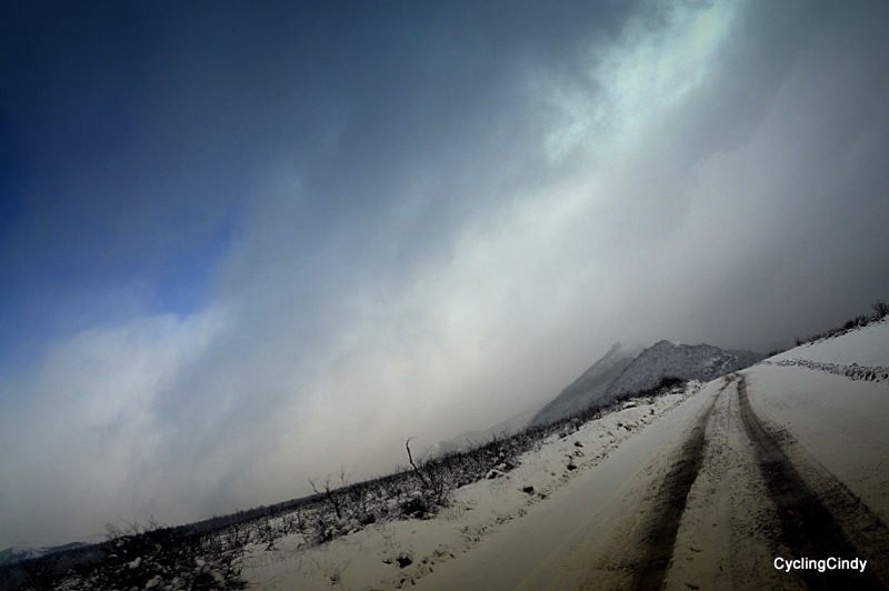 1-DSC_0603 (2)