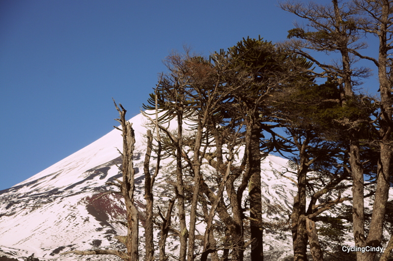 1-DSC_0971 (2)