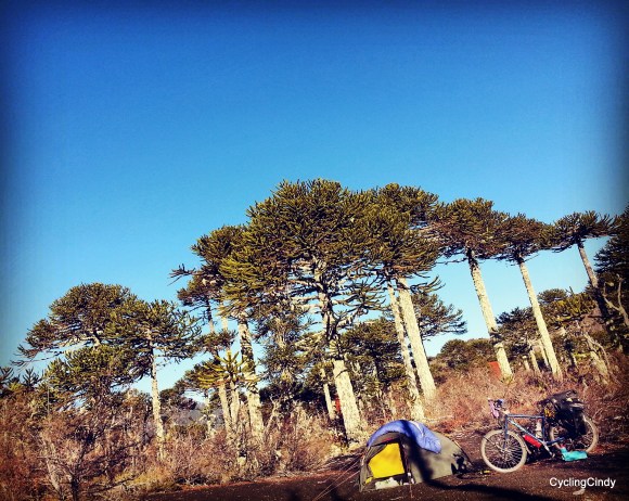 1-IMG_20170525_185934_182