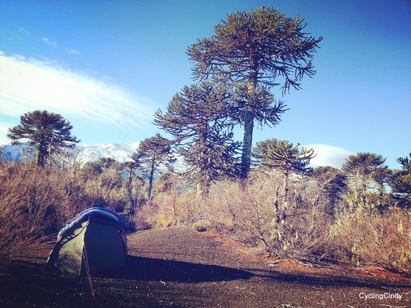 2-IMG_20170525_205744_347