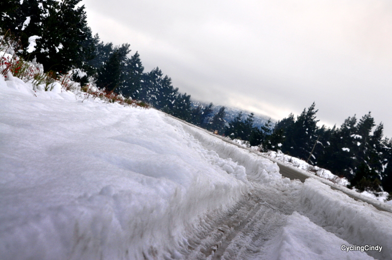 1-DSC_0387